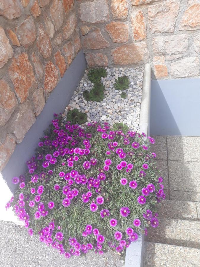 Villa Mihaela - Apartment Ana Cesarica Dış mekan fotoğraf