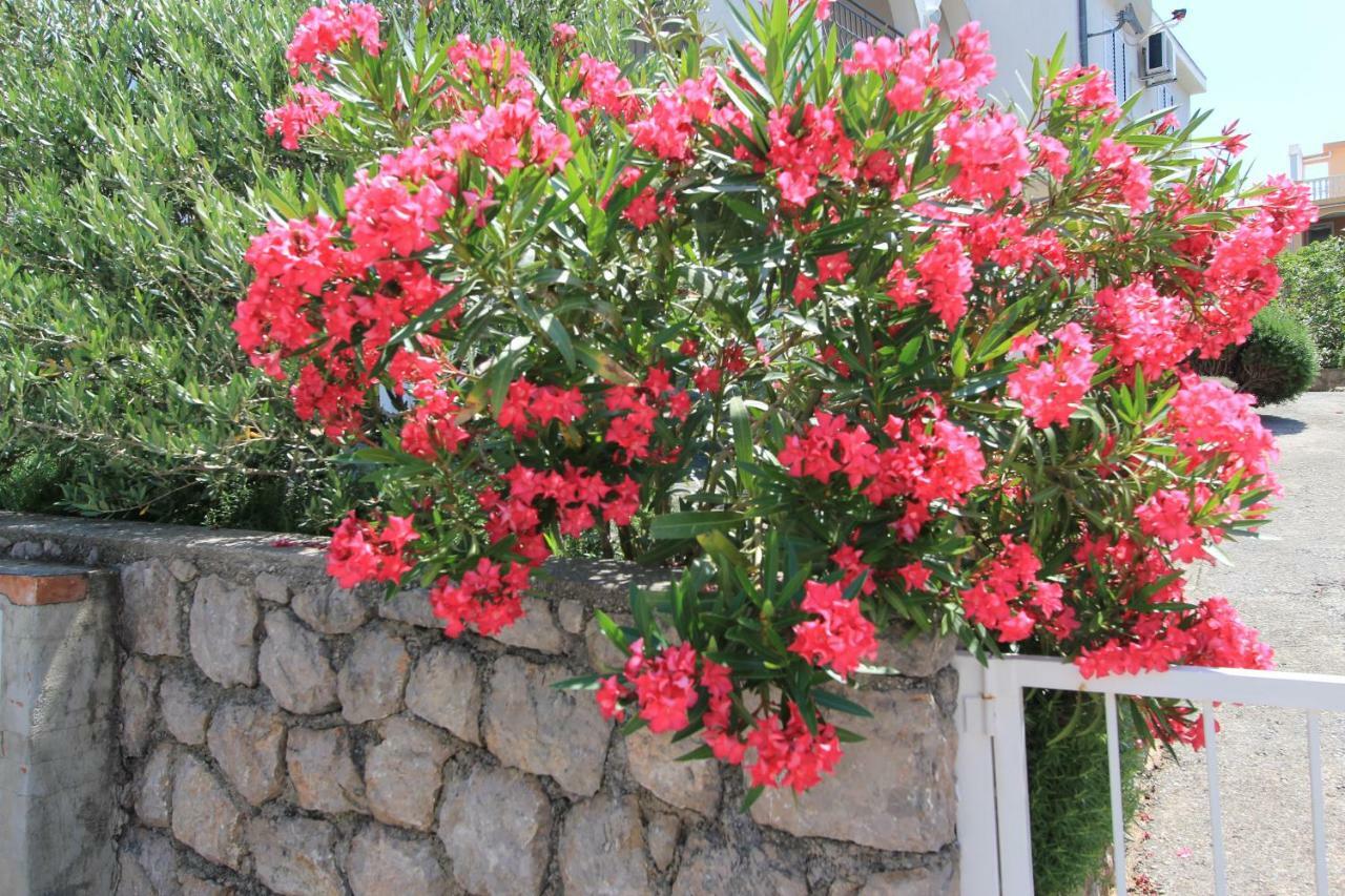 Villa Mihaela - Apartment Ana Cesarica Dış mekan fotoğraf