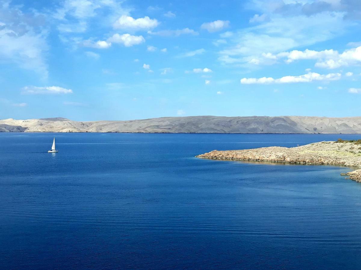 Villa Mihaela - Apartment Ana Cesarica Dış mekan fotoğraf